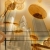 Gold Coins Dollars Buildings Spinning HD Video Background 0088