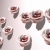 Roses White Moving HD Video Background 0302