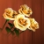 Roses Yellow Orange Rotating HD Video Background 0303