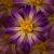 Flowers Violet Turning HD Video Background 0314