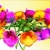 Assorted Flowers Turning HD Video Background 0315