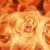 Roses Red Orange Turning HD Video Background 0319