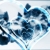 Hearts & Flowers Blue Turning HD Video Background 0326