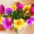 Assorted Flowers Colorful Turning HD Video Background 0329