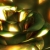 Golden Rose Turning HD Video Background 0334