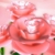 Roses Pink Spinning HD Video Background 0439