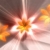 Flowers Orange Spinning & Glowing HD Video Background 0441