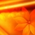 Yellow Flowers Spinning HD Video Background 0442