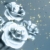 White Roses Spinning HD Video Background 0498