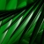 Abstract Green Feathers Waving HD Video Background 0642