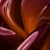 Abstract Brown Glossy Spinning HD Video Background 0649