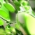 3D Objects Oblongs Green Spinning HD Video Background 0746