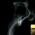 Smoke Effect Black Background 0004