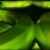 Yellow Green Metallic Circles Spinning HD Video Background 0843