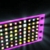 Film Frame with Disco Lights HD Video Background 0916