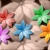 Multicolor Flowers Spinning HD Video Background 0923