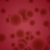 Soft Red Circles Flying HD Video Background 1022