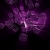 Transparent Cubes Violet Spinning HD Video Background 1106