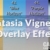 Camtasia Vignettes and Overlay Effects