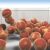 Peaches Overflowing Glass Container HD Video Background 1196