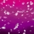 Pink Flowers Thrown in the Air HD Video Background 1208