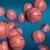 Bouncing Basketballs HD Video Background 1214