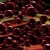 Red Molecules Forming and Deforming HD Video Background 1248