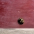 Ball Bouncing on Red Concrete HD Video Background 1293