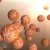 Basketballs Spinning and Floating in the Sunshine Sky HD Video Background 1300