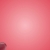 Red and White Balloons Flying HD Video Background 1316