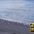 Seagulls Standing on the Beach