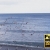 Seagulls Taking Flight from Beach