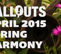 April 2015, Spring Harmony