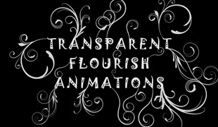 15 New Transparent Flourish Animations