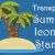 Summer Icons Stamps Transparent