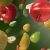 Fruits Floating and Spinning Video Background 1448