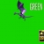 Animated Flying Dragon 03 on Greenscreen