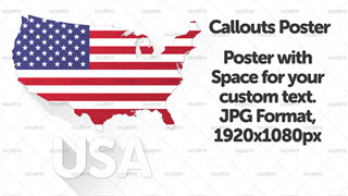 USA Flat Styled Map with Flag Poster Graphic Wide
