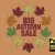 Autumn Sale Hand Drawing Whiteboard