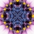 Blue Flower Starlish Kaleidoscope Loopable Video Background
