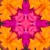 Pink Flower Kaleidoscope Loopable Video Background