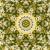 Flower Field Starlish Kaleidoscope Loopable Video Background