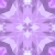 Orchid Flower Kaleidoscope Loopable Video Background