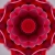 Red Rose Starlish Kaleidoscope Loopable Video Background