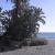 Mediterranean Beach Palms Pan 02 Video Footage