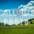 Green Open Landscape with Rolling Hills and Blue Sky