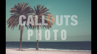 Palm Trees on Beach Vintage Styled Text Space