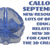 Callouts September – Education, Brains and 3D Creator for Camtasia