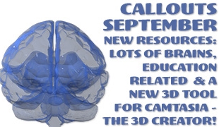 Callouts September – Education, Brains and 3D Creator for Camtasia