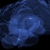 Animated Blue Glass Brain Fly Through Loopable